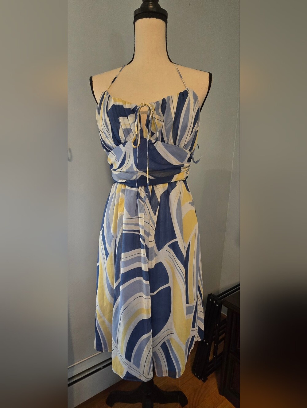 Max And Cleo Chiffon Dress (26)